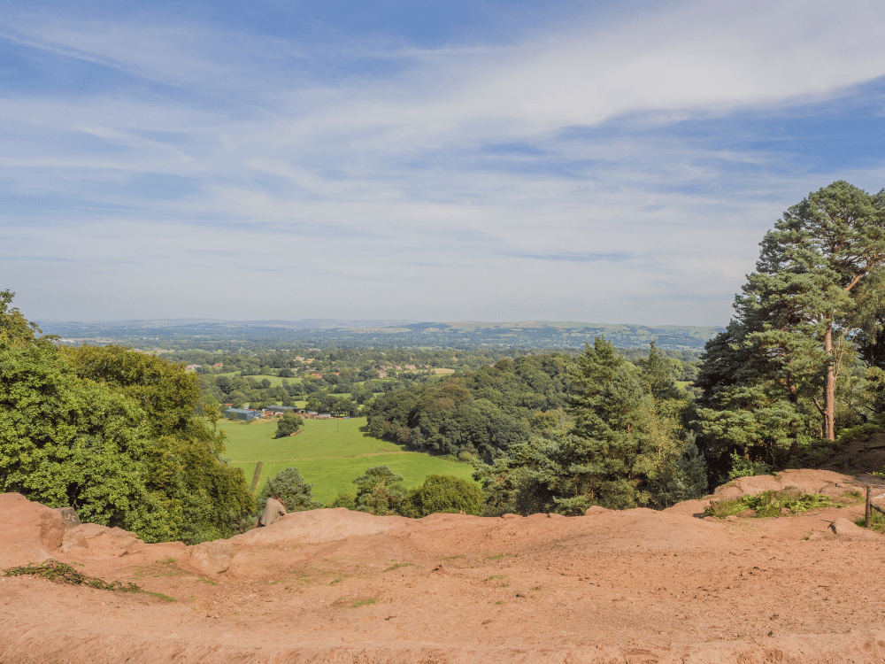 GFX - Luxury Landscape Services in Alderley Edge