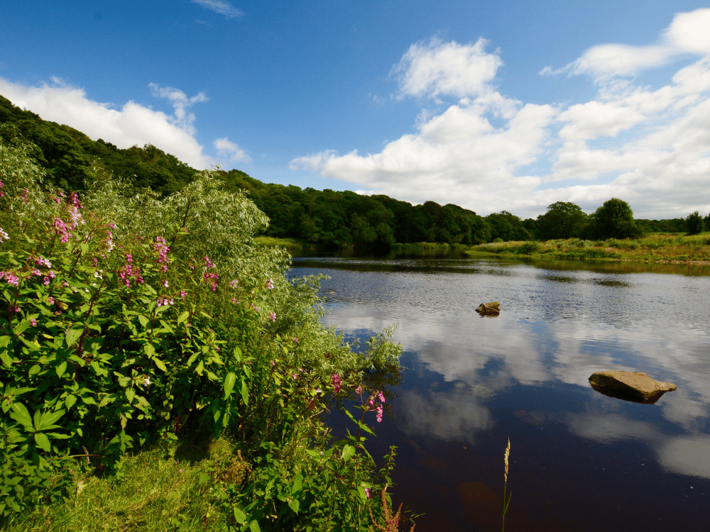 GFX - Luxury Landscape Services in Much Hoole
