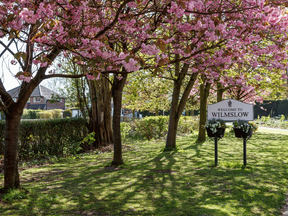 GFX - Luxury Landscape Services in Wilmslow
