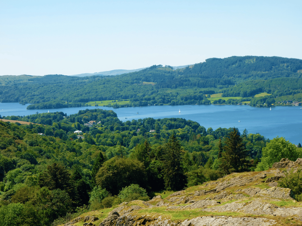 GFX - Luxury Landscape Services in Windermere